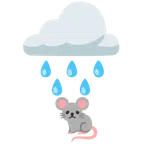 เมฆฝน + หน้าหนู