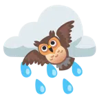 เมฆฝน + นกฮูก