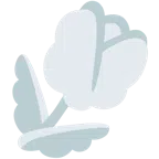 tulipano + nuvola