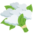 mazzo di fiori + nuvola