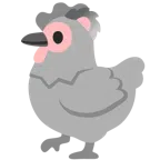 ไก่ + โคอาล่า