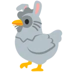 ไก่ + หน้ากระต่าย