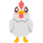 ไก่ + หน้าอ้อนวอน