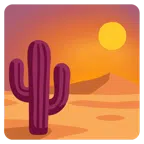 Sonnenuntergang in der Stadt + Kaktus