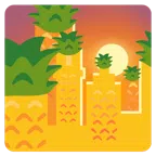 Sonnenuntergang in der Stadt + Ananas