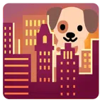Sonnenuntergang in der Stadt + Hundegesicht