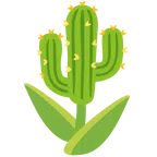 tulipano + cactus