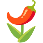 tulipano + peperoncino