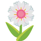 tulipano + fiore