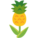 tulipano + ananas