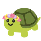 tulipano + tartaruga