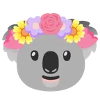 tulipano + koala