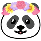 tulipano + panda