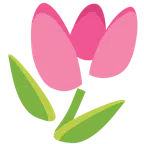 tulipano + cuore infranto