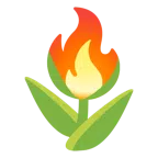 tulipano + fuoco