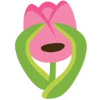 tulipano + non vedo