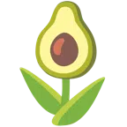 tulipano + avocado