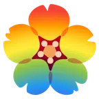 fiore di ciliegio + arcobaleno