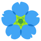 fiore di ciliegio + Europa e Africa