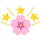 fiore di ciliegio + stella che brilla