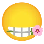 fiore di ciliegio + rosa