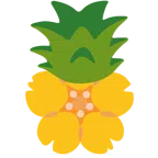 fiore di ciliegio + ananas