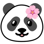 fiore di ciliegio + panda
