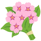 fiore di ciliegio + mazzo di fiori