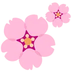 fiore di ciliegio + due cuori