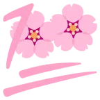 fiore di ciliegio + 100 punti