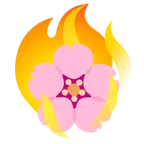fiore di ciliegio + fuoco