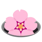 fiore di ciliegio + buco