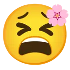 fiore di ciliegio + faccina stanca