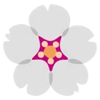 fiore di ciliegio + cuore bianco