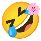 fiore di ciliegio + ridere a crepapelle