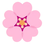 fiore di ciliegio + cuori
