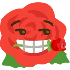 rose + rose