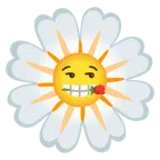 rosa + fiore