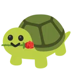 rosa + tartaruga