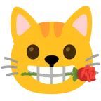 rosa + muso di gatto