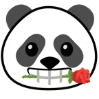 rosa + panda