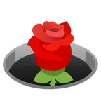 rosa + buco