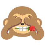 rosa + non vedo