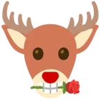 rosa + cervo