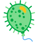 Luftballon + Mikrobe