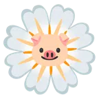 หน้าหมู + ดอกไม้บาน