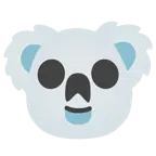 teschio + koala