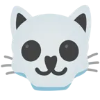 teschio + muso di gatto