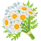 mazzo di fiori + fiore