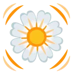 cuore che batte + fiore